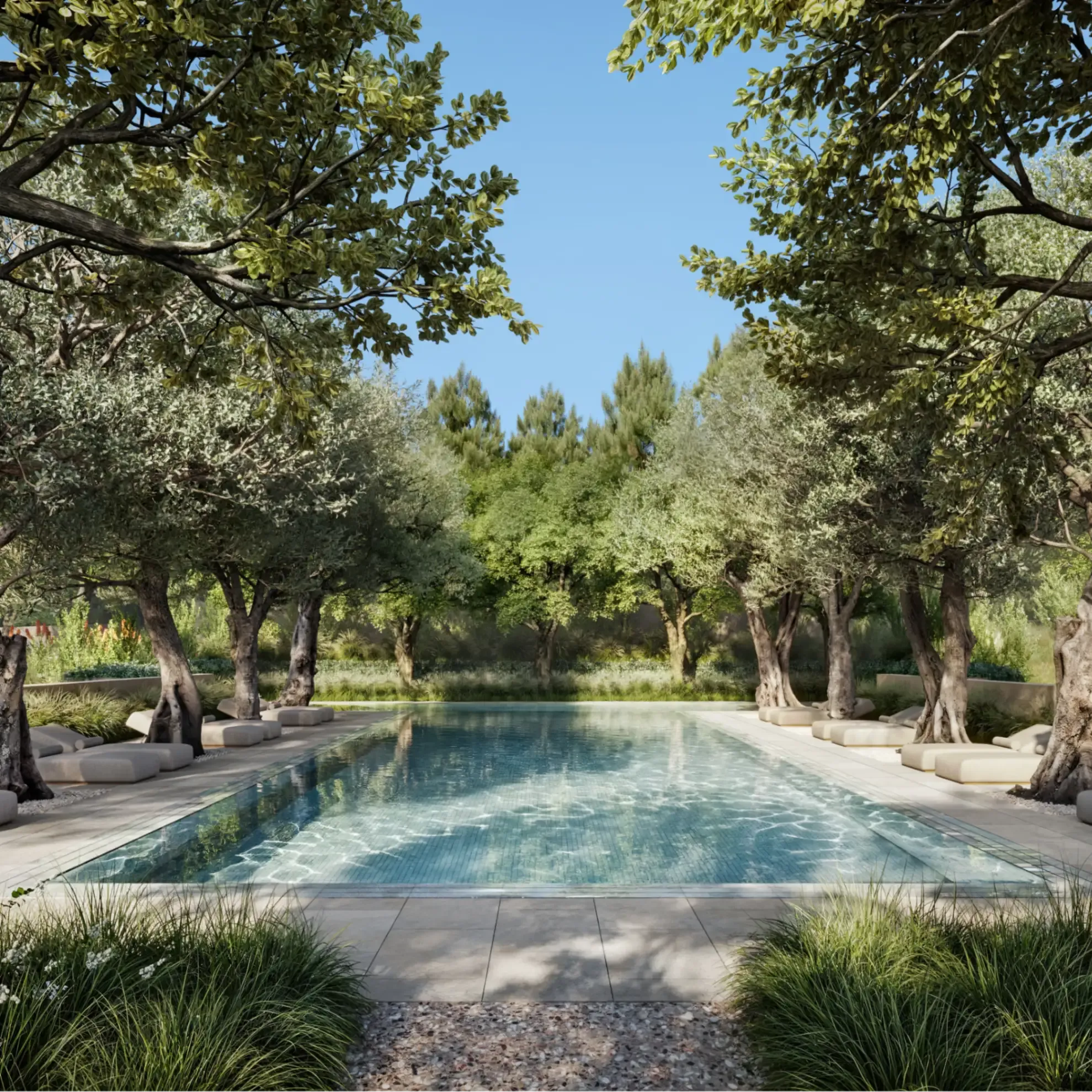 Upscale outdoor swimming pool in dappled sunlight, surrounded by trees.