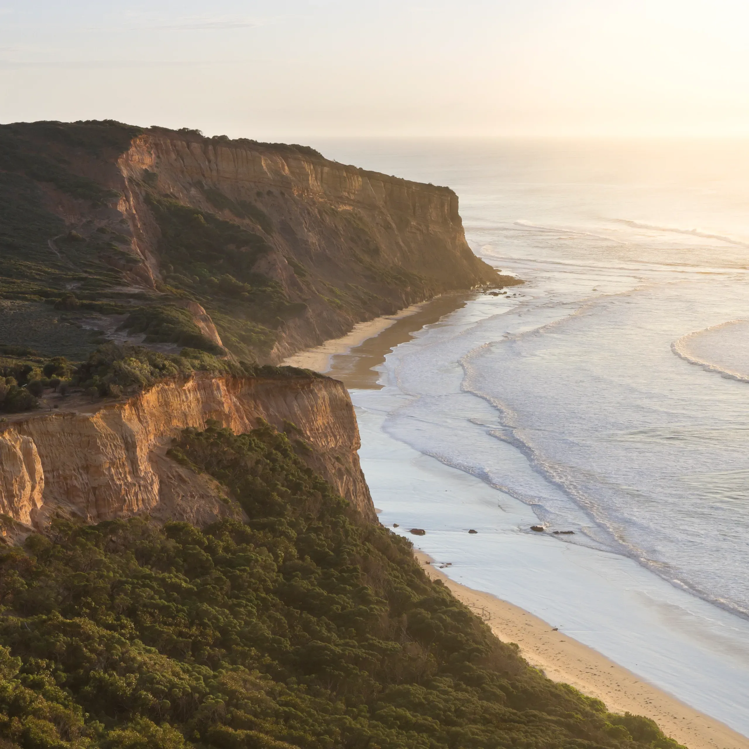The cliffs and ocean along the coastline at Geelong. 