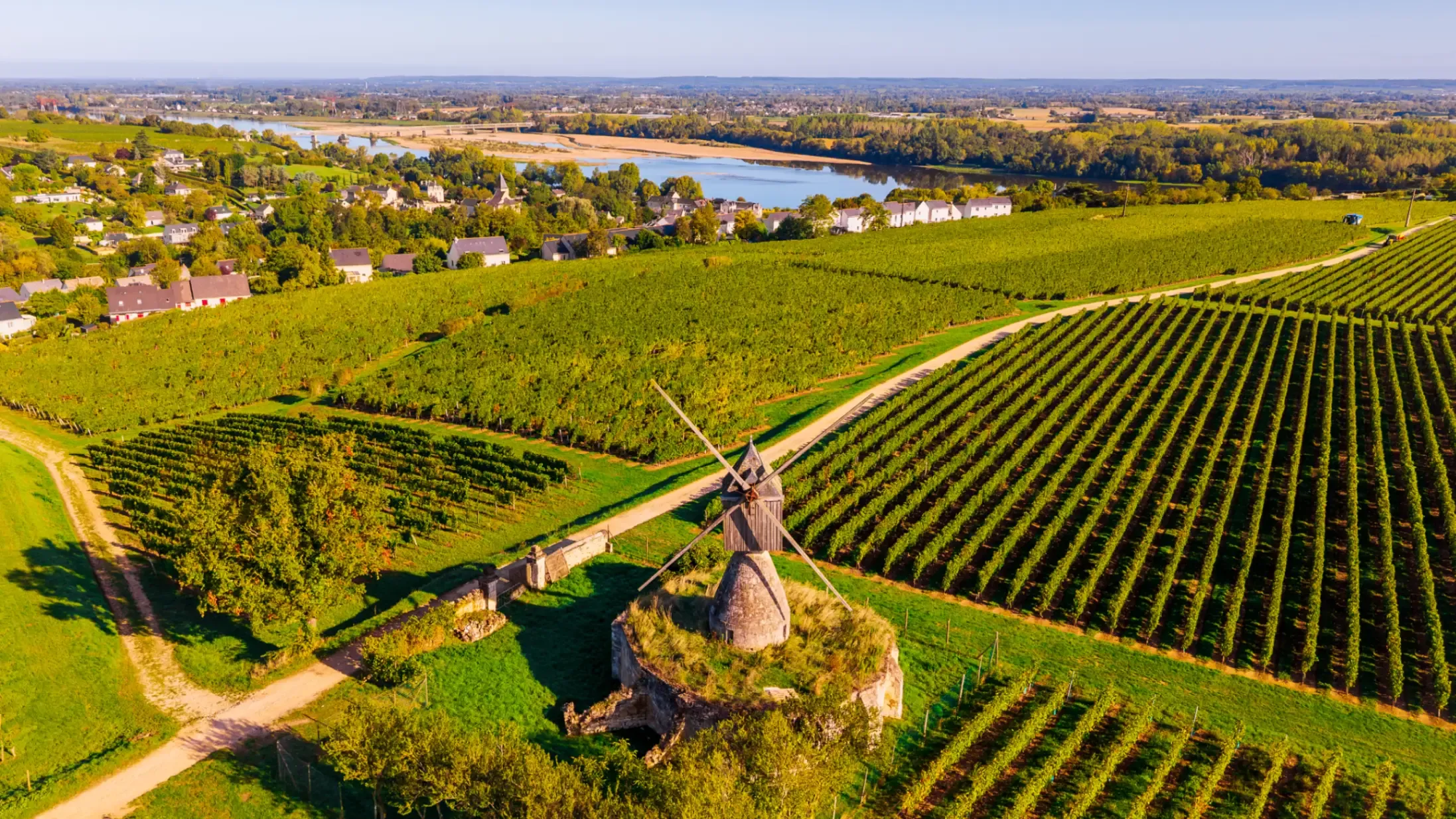A windmill surrounded by vineyards in Montsoreau, France.