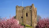 Image of Castle