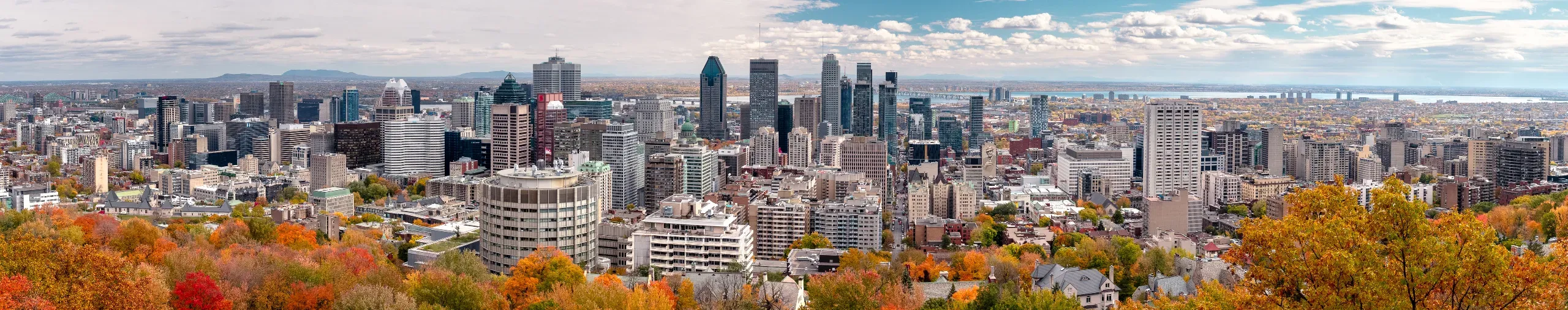 Montreal skyline with autumn foliage. 