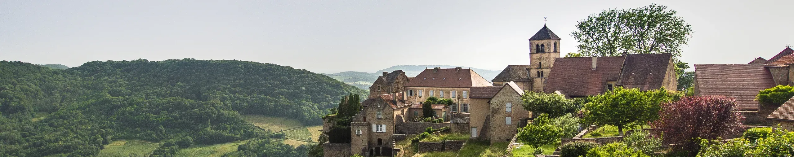 Chateau-Chalon, France, with the remains of the ancient castle walls, the church, stone houses and vines in the foreground.