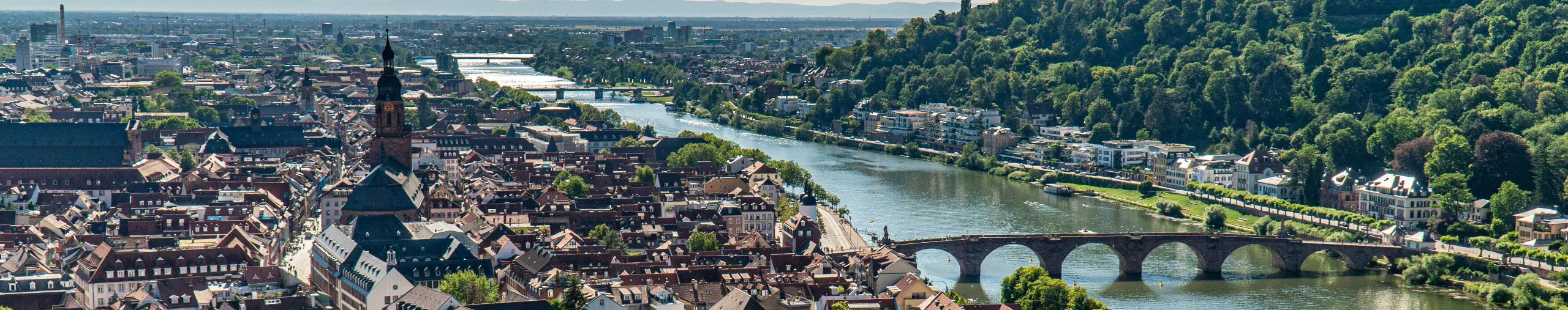 Aerial view of Heidelberg cityscape, Germany, with bridges over the river and green mountains. 