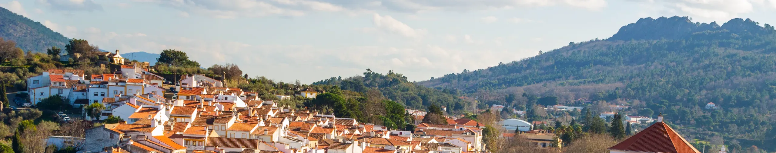 The rooftops and distant landscape of Castelo de Vide, Portugal. 