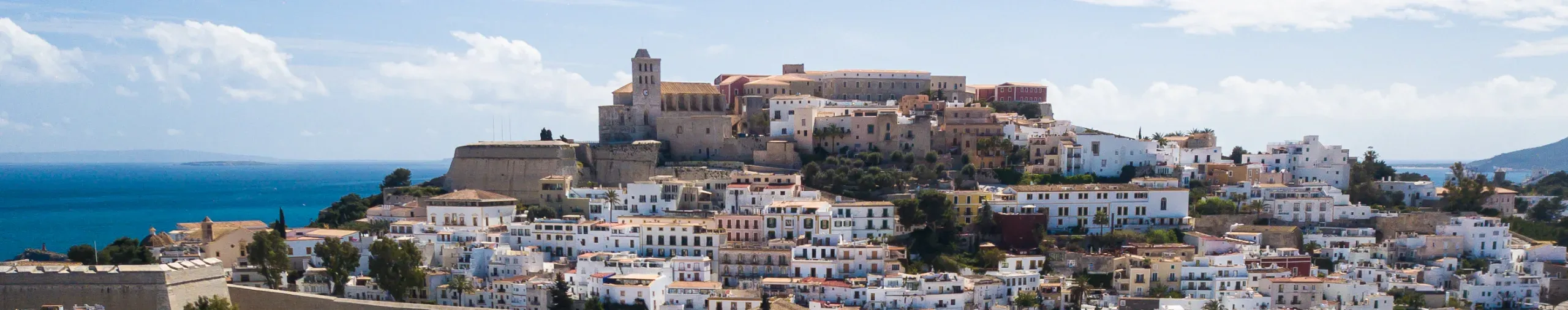 Panoramic view of Ibiza. 