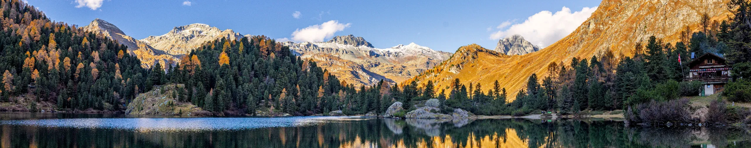 Larch trees mirrored in an Alpine lake in autumn. 