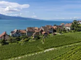 Vineyard and mountain village overlooking a lake. 