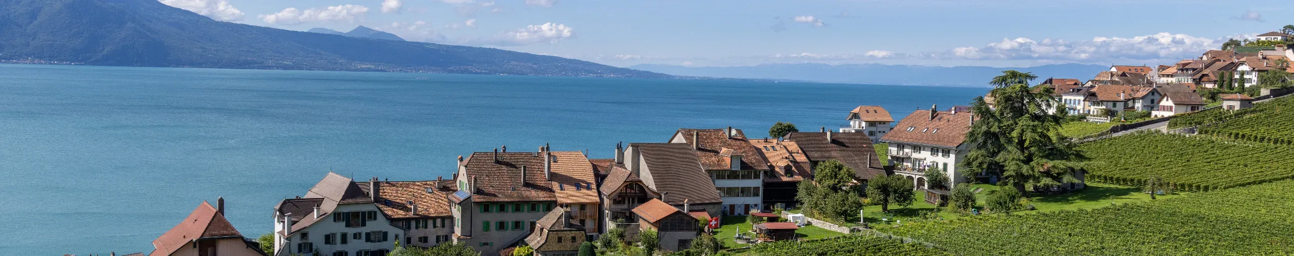 Vineyard and mountain village overlooking a lake. 