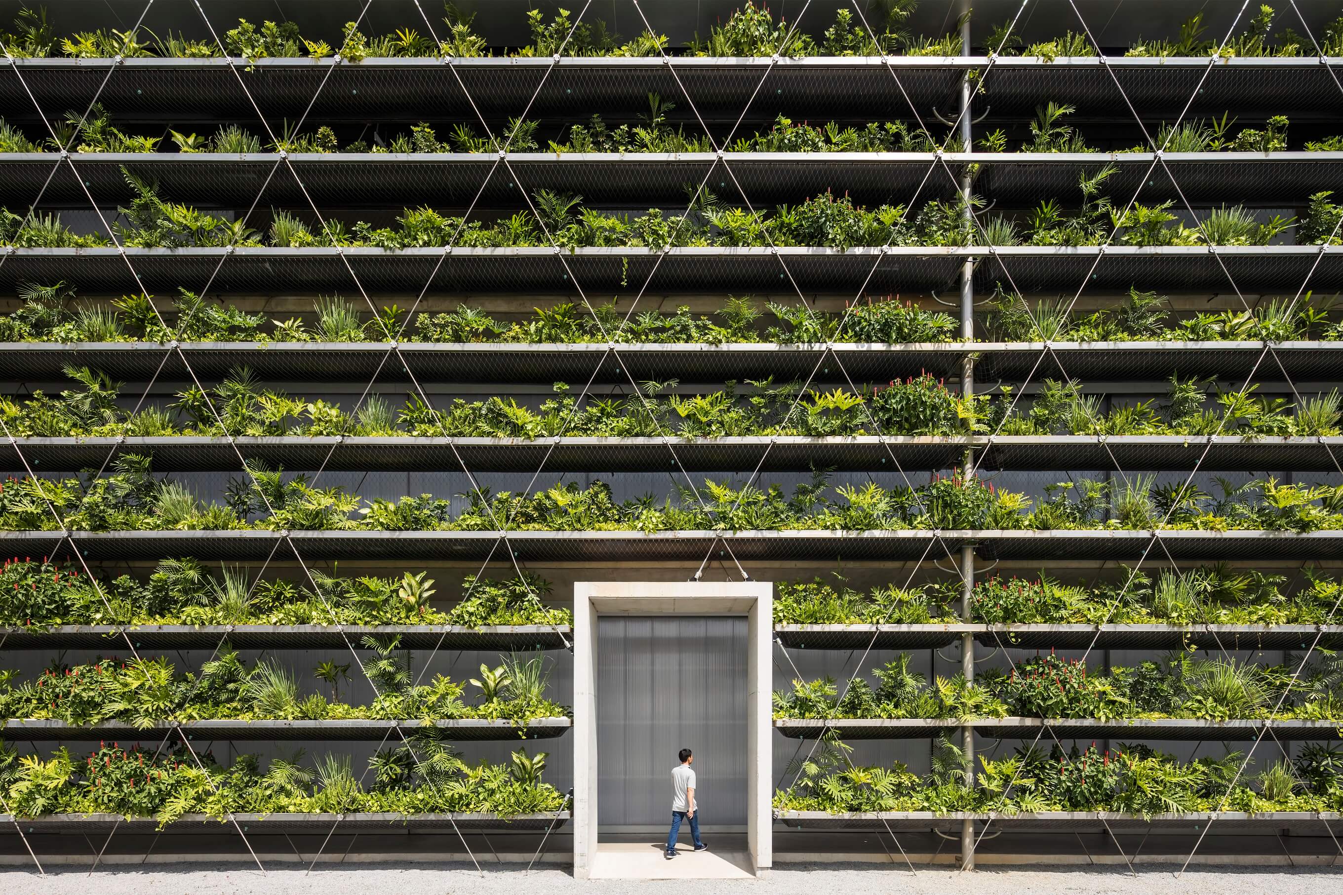 Green shoots: The future of urban rewilding and vertical farming