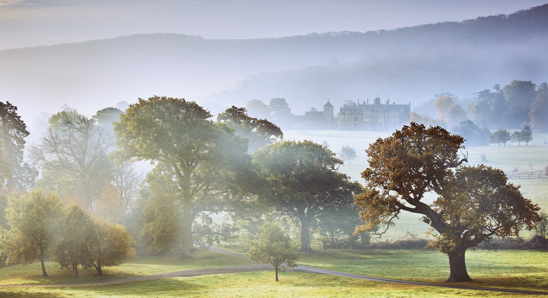 Life in our land: Investing in nature at the Wiston Estate