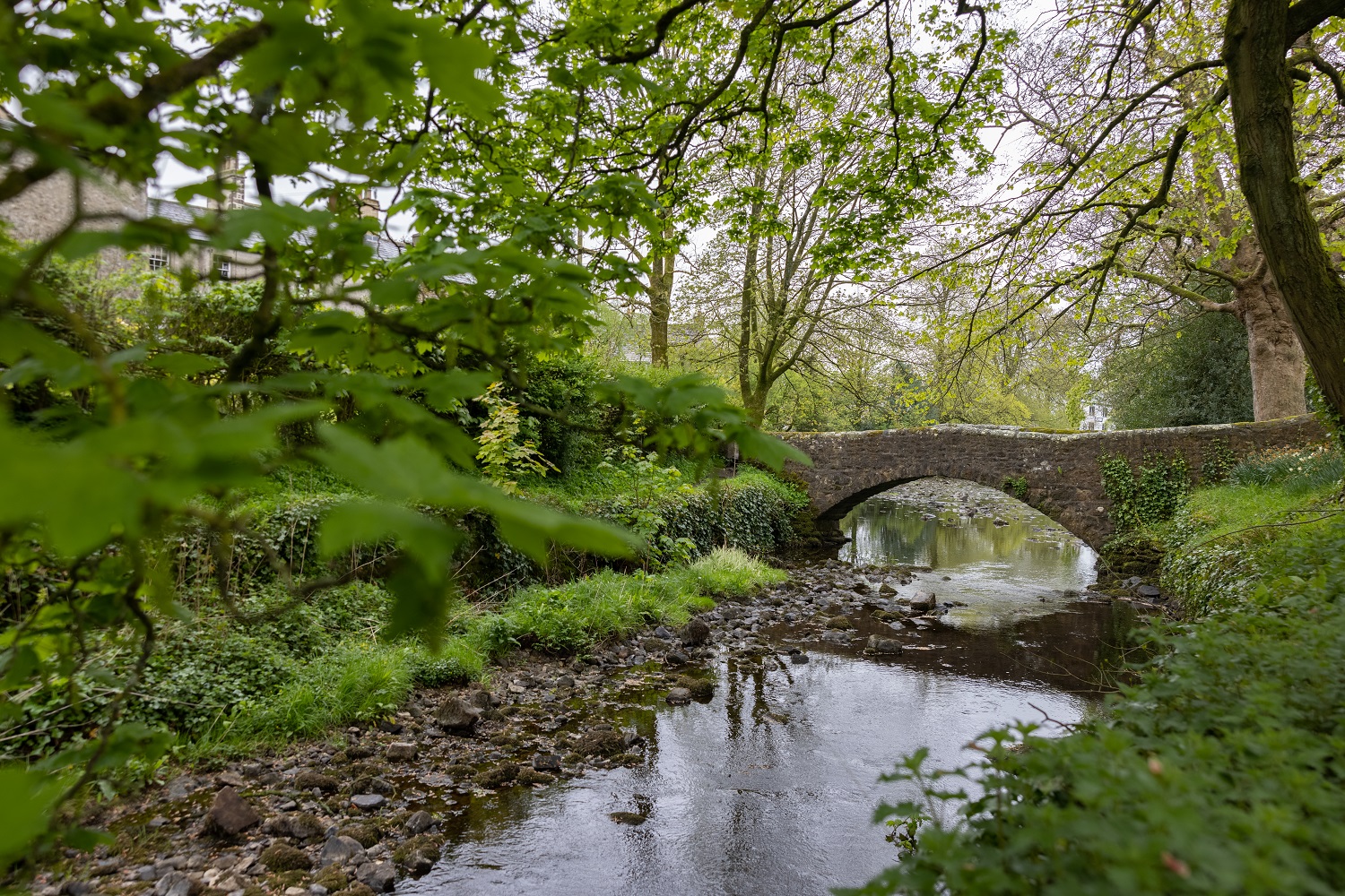 Second nature: a modern approach to traditional country life