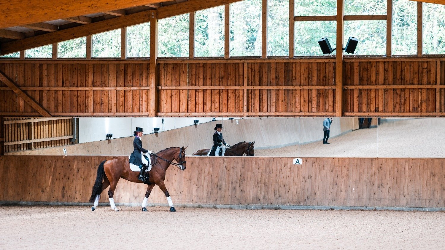 What to consider when buying an equestrian property