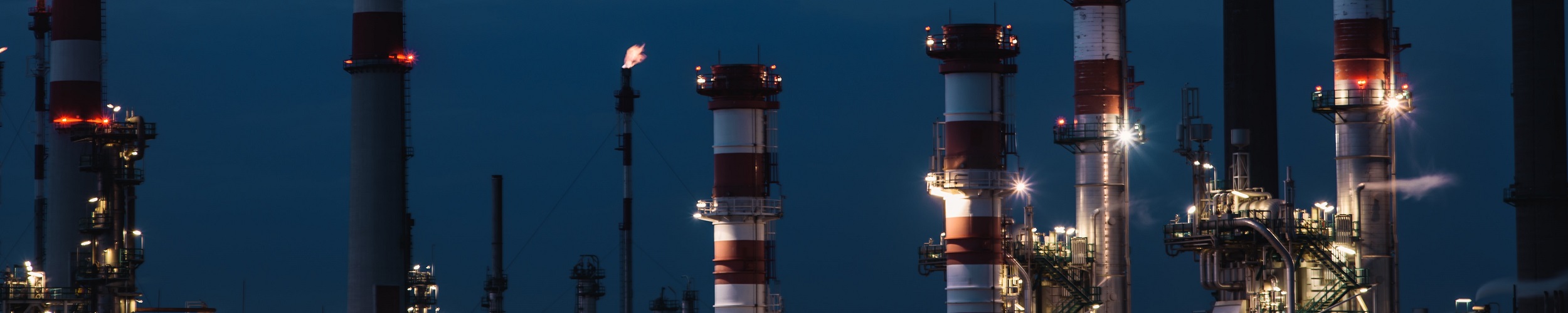 What will influence capital flows in 2021? From oil to geopolitics