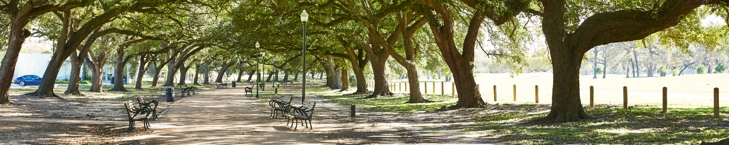 Next Neighbourhoods: Museum District, Houston, US