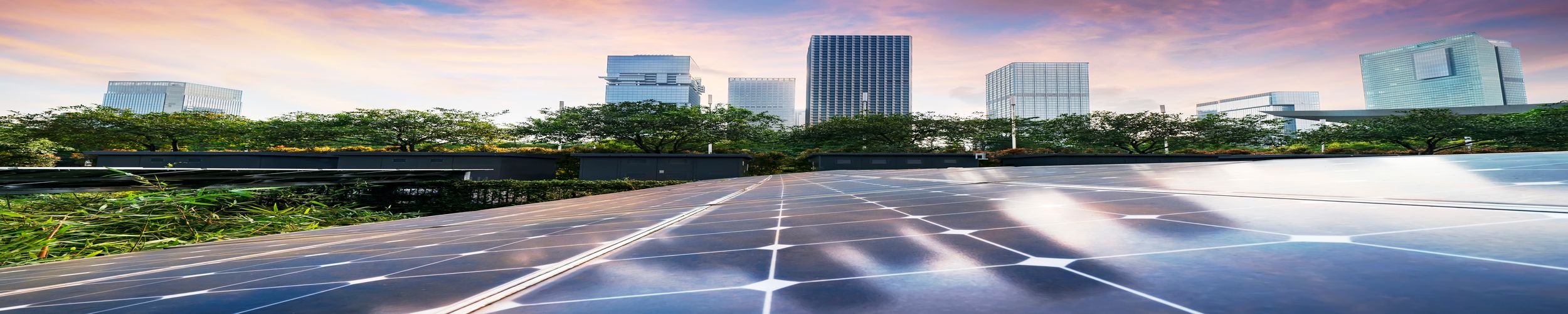 From Theory to Practice: Sustainability in the Workplace