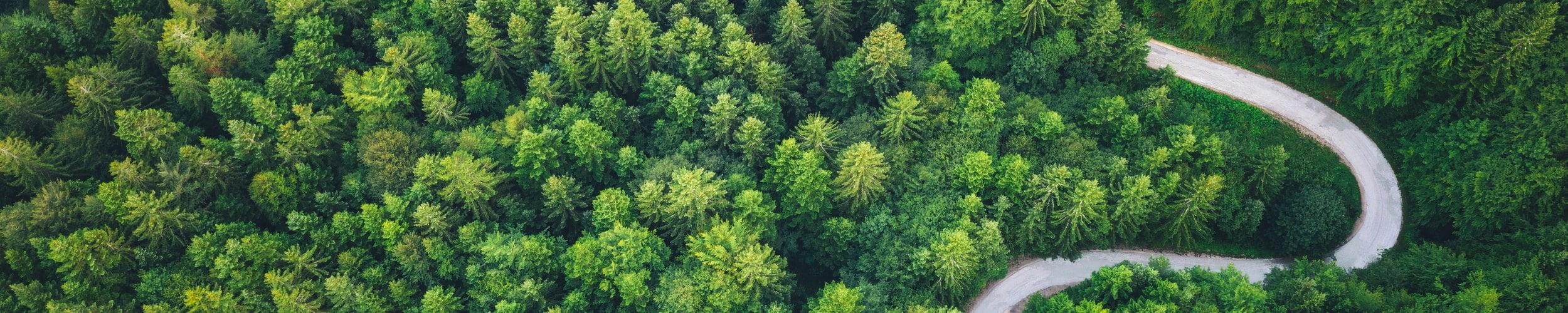 Executive summary: the sustainable acceleration