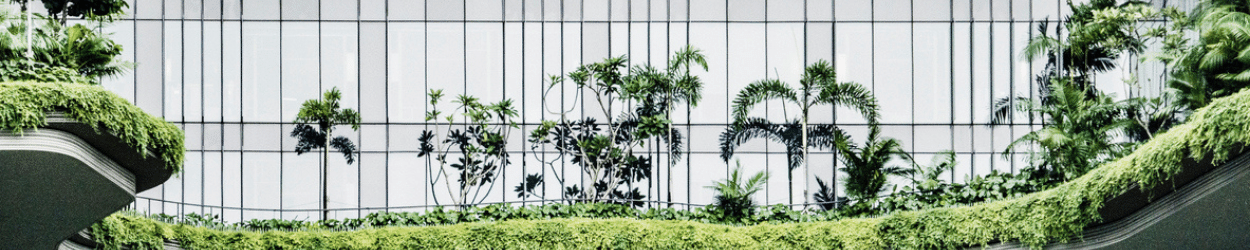 Record 2022 in APAC for Capital Markets