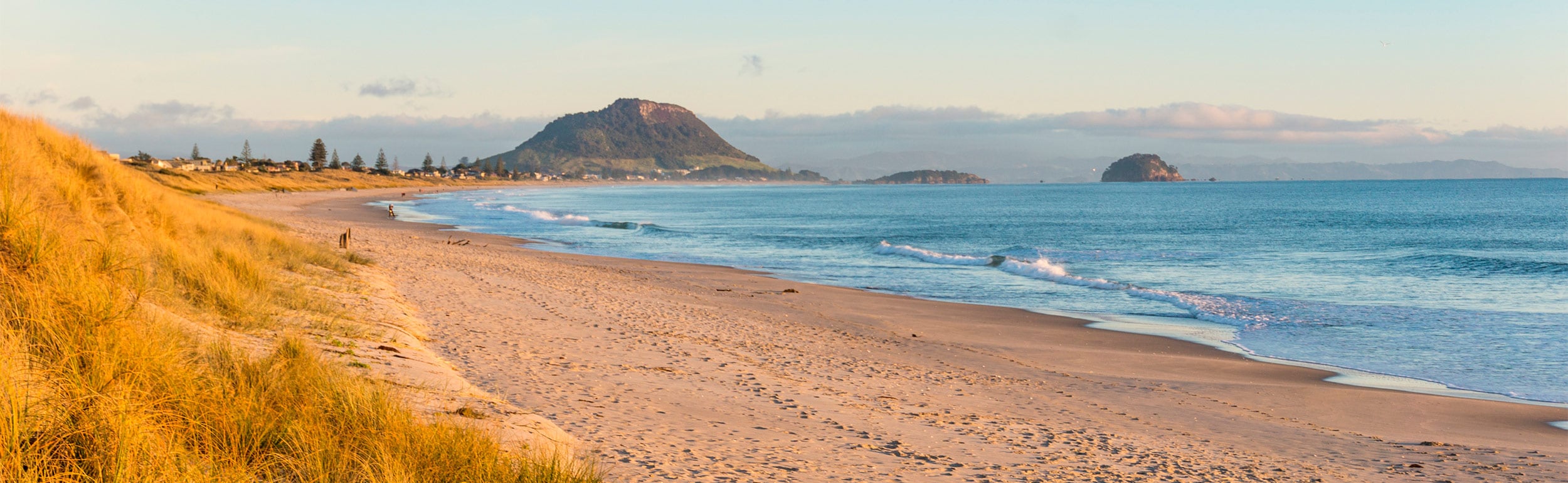 Next Neighbourhoods 2021: Papamoa, Tauranga, New Zealand