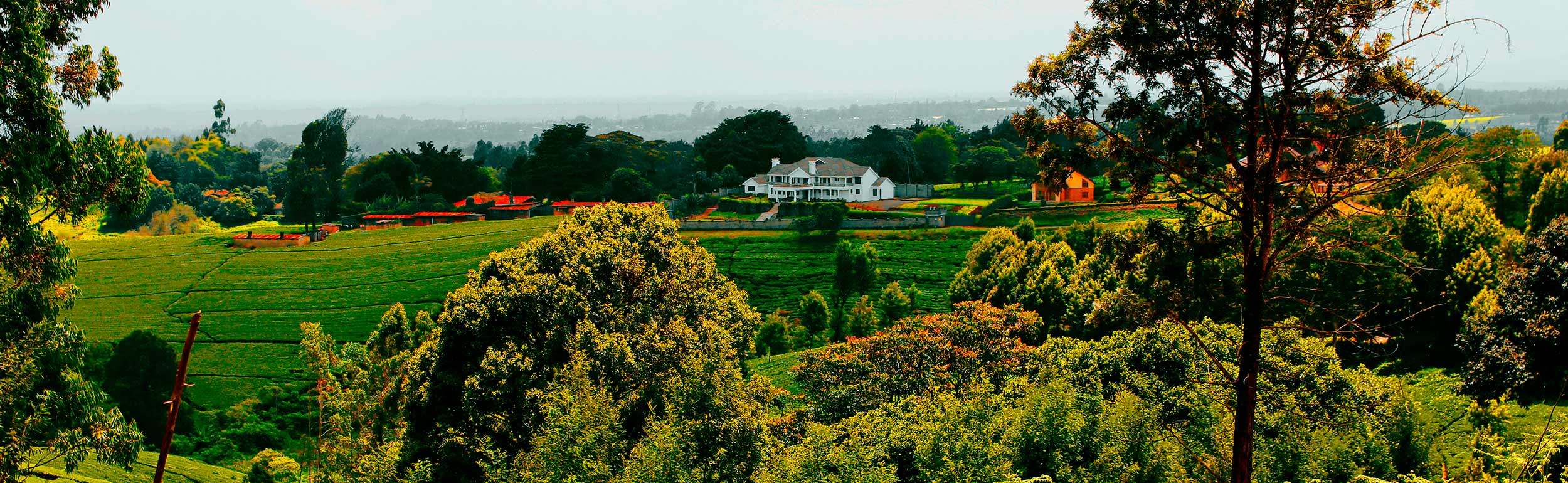 Next Neighbourhoods 2021: Tigoni, Limuru, Kenya