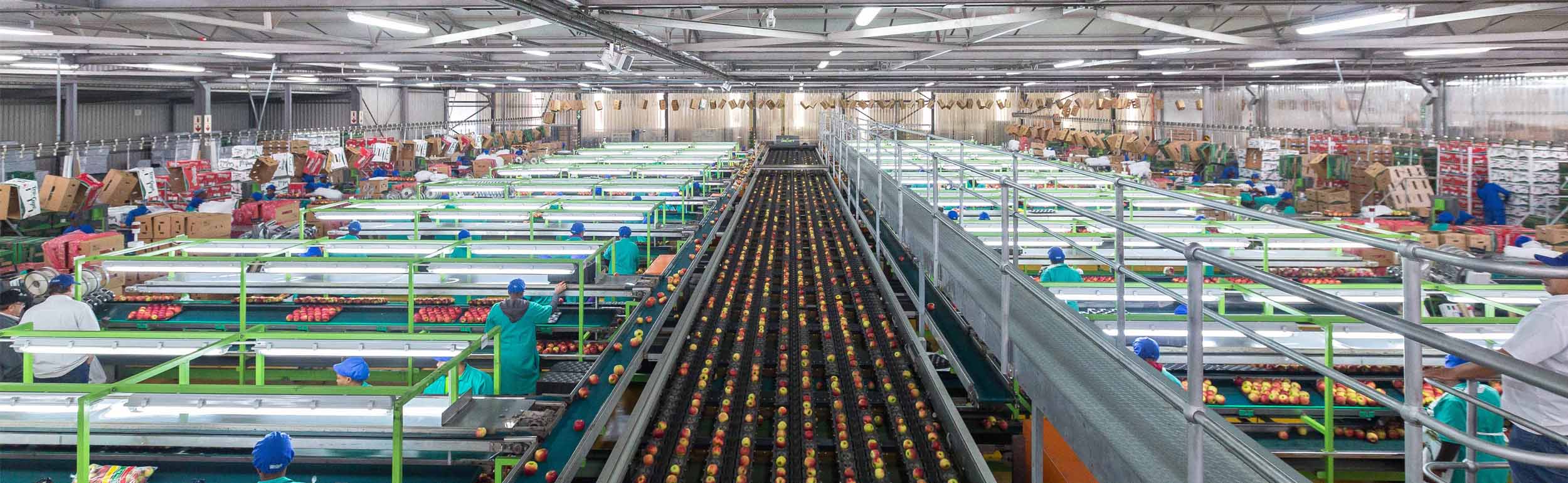 African agricultural investment can be profitable and benefit communities