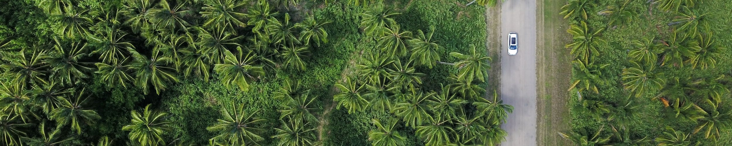 ESG is set to be the biggest investment driver in Africa in 2021