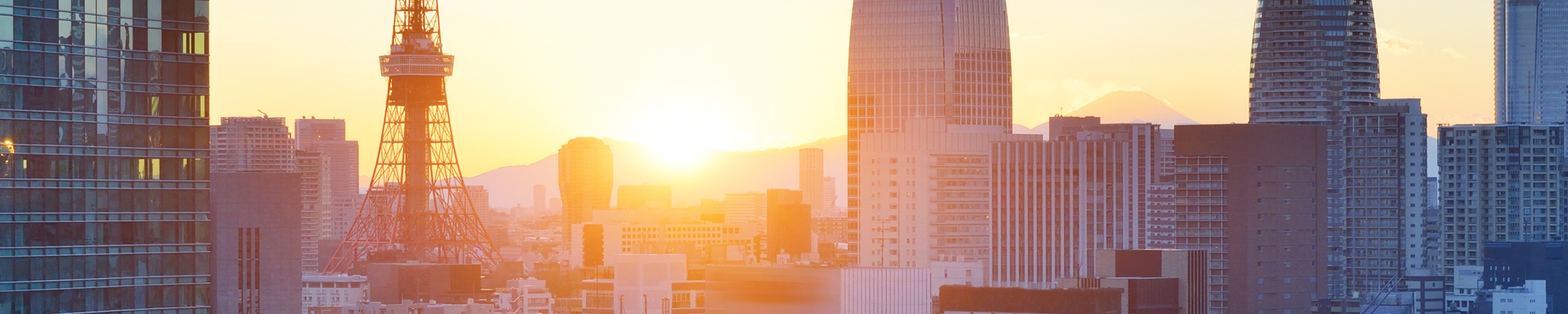 The search for sustainably led cities