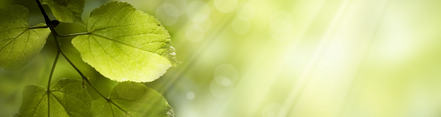Innovating resilience and investing in ESG in a changing world