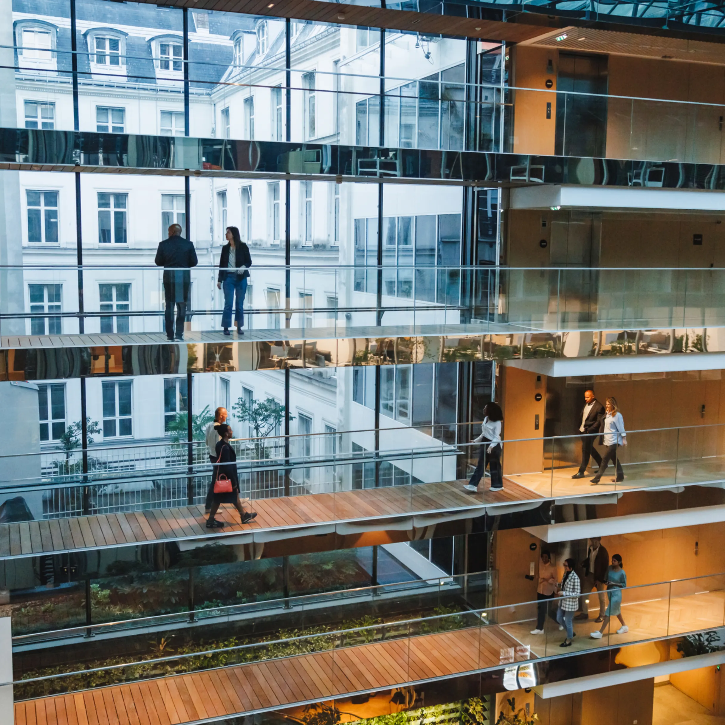 Business Growth & Transformation