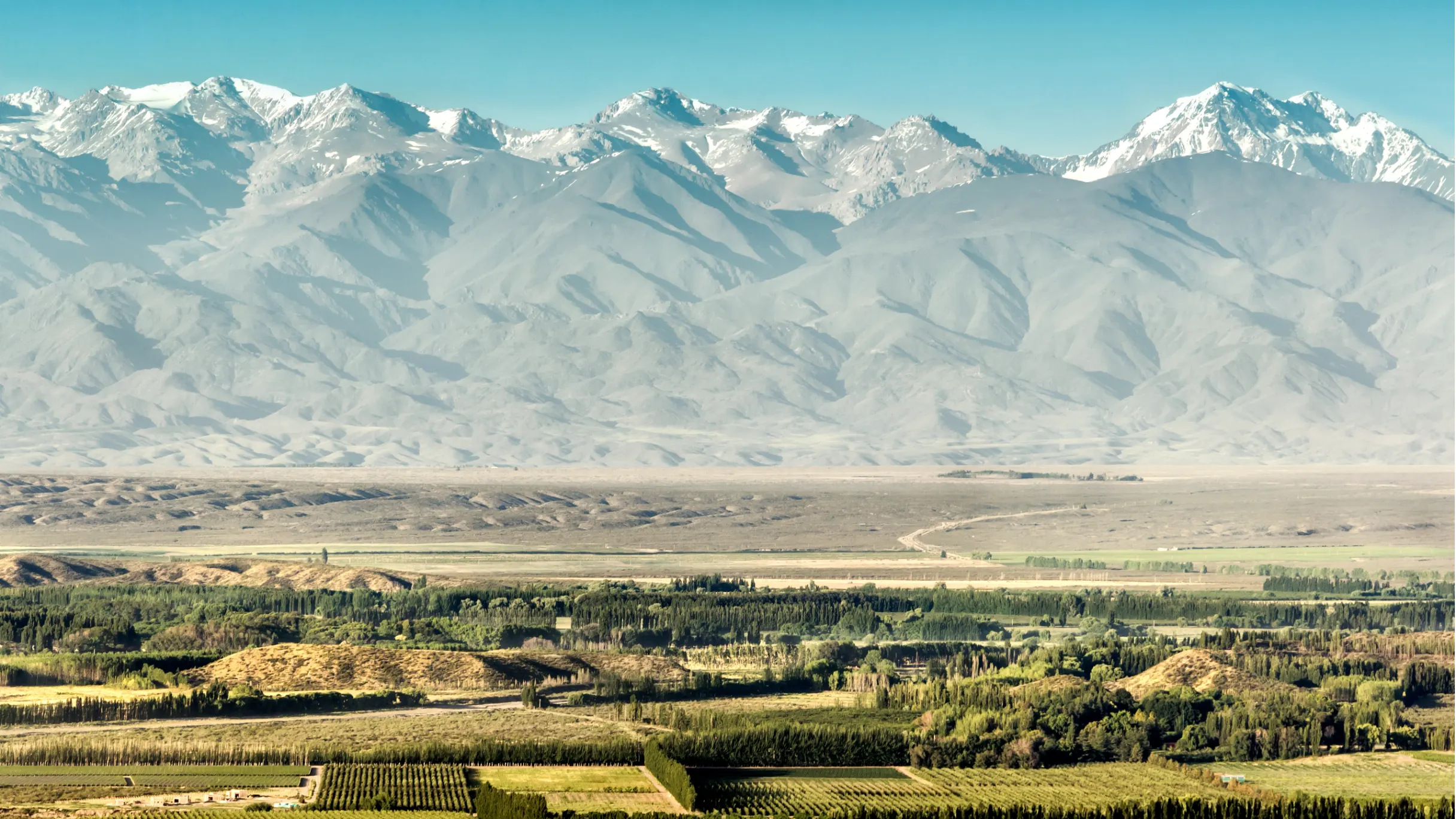 Vineyards in the Uco Valley, Tupungato, Mendoza, Argentina.