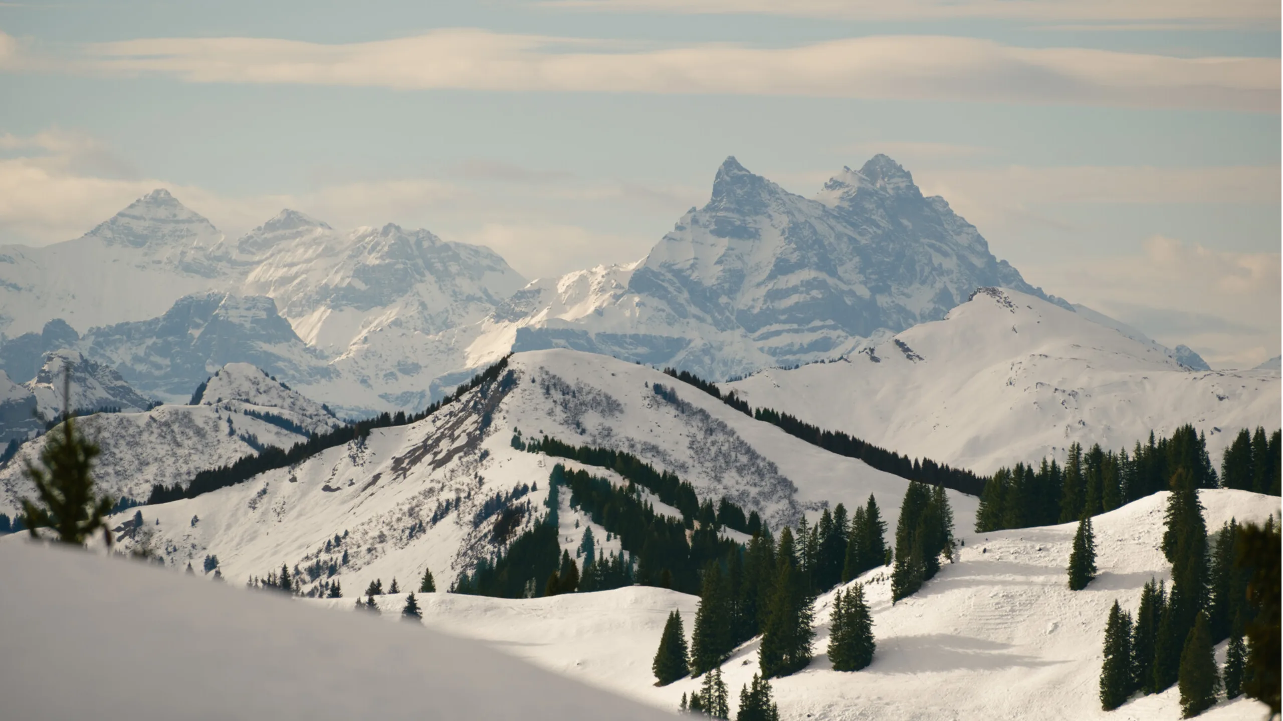 Image of Peak performance: prime mountain property trends in 2026