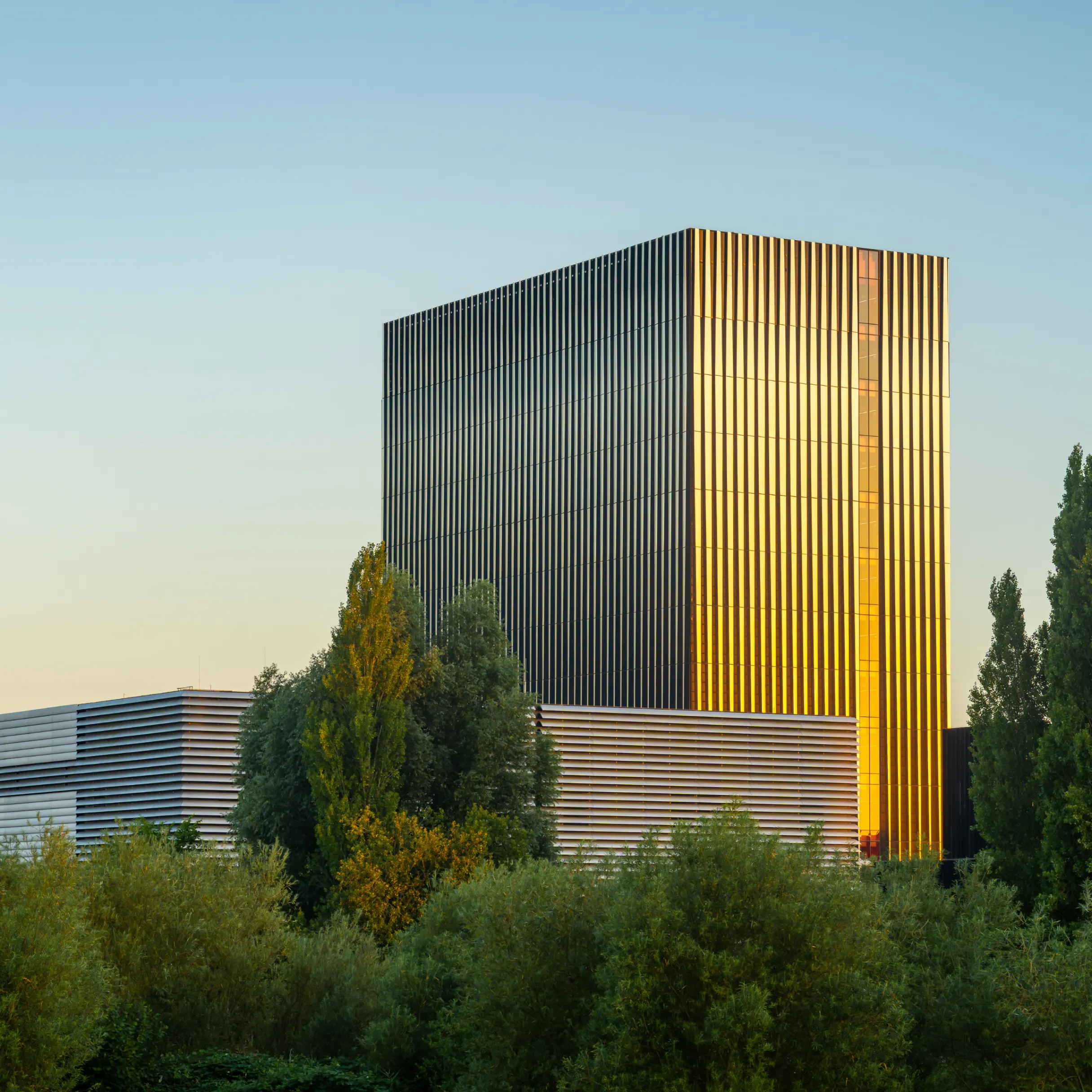 The power of renewable energy investment