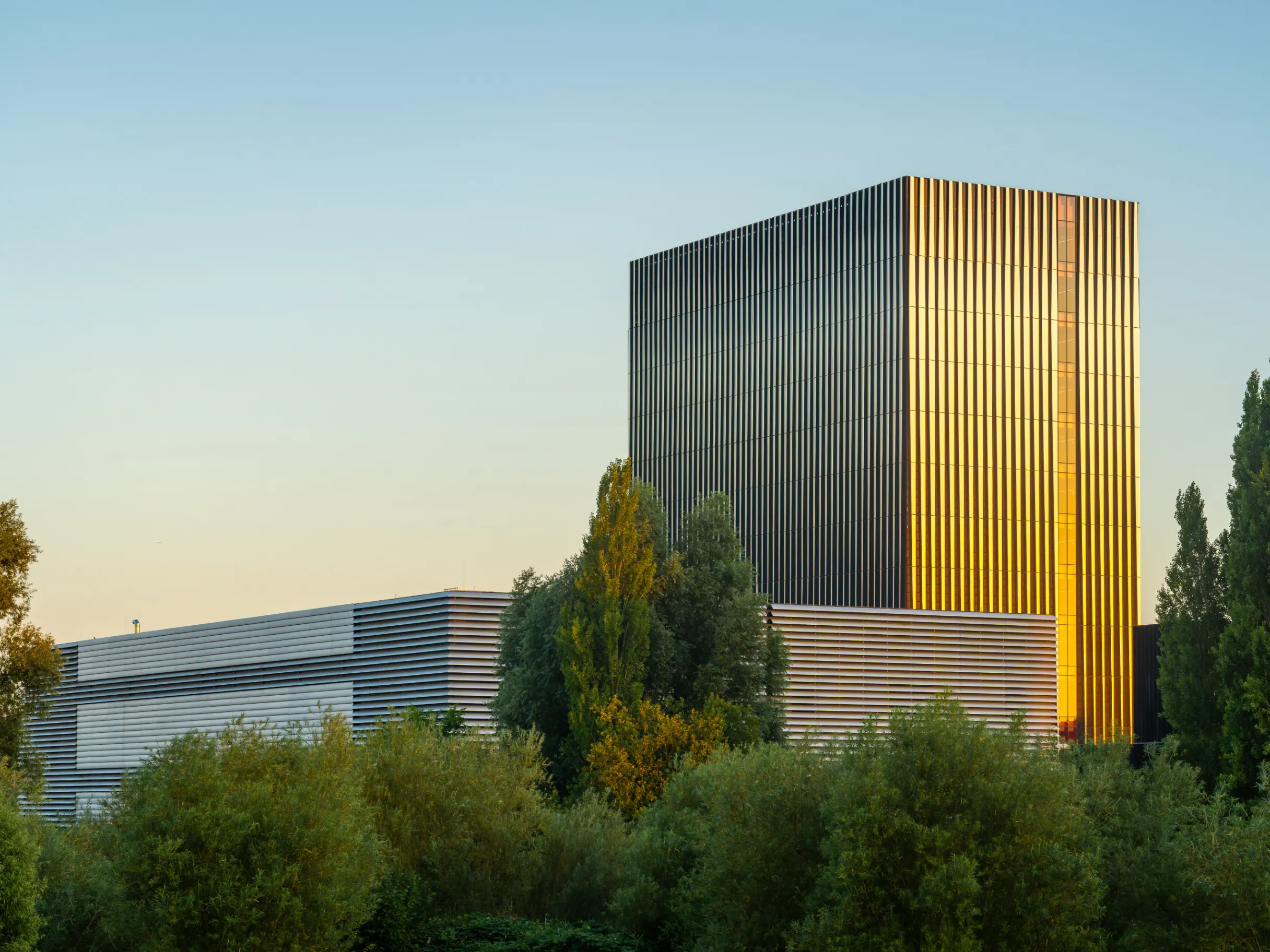 Image of The power of renewable energy investment