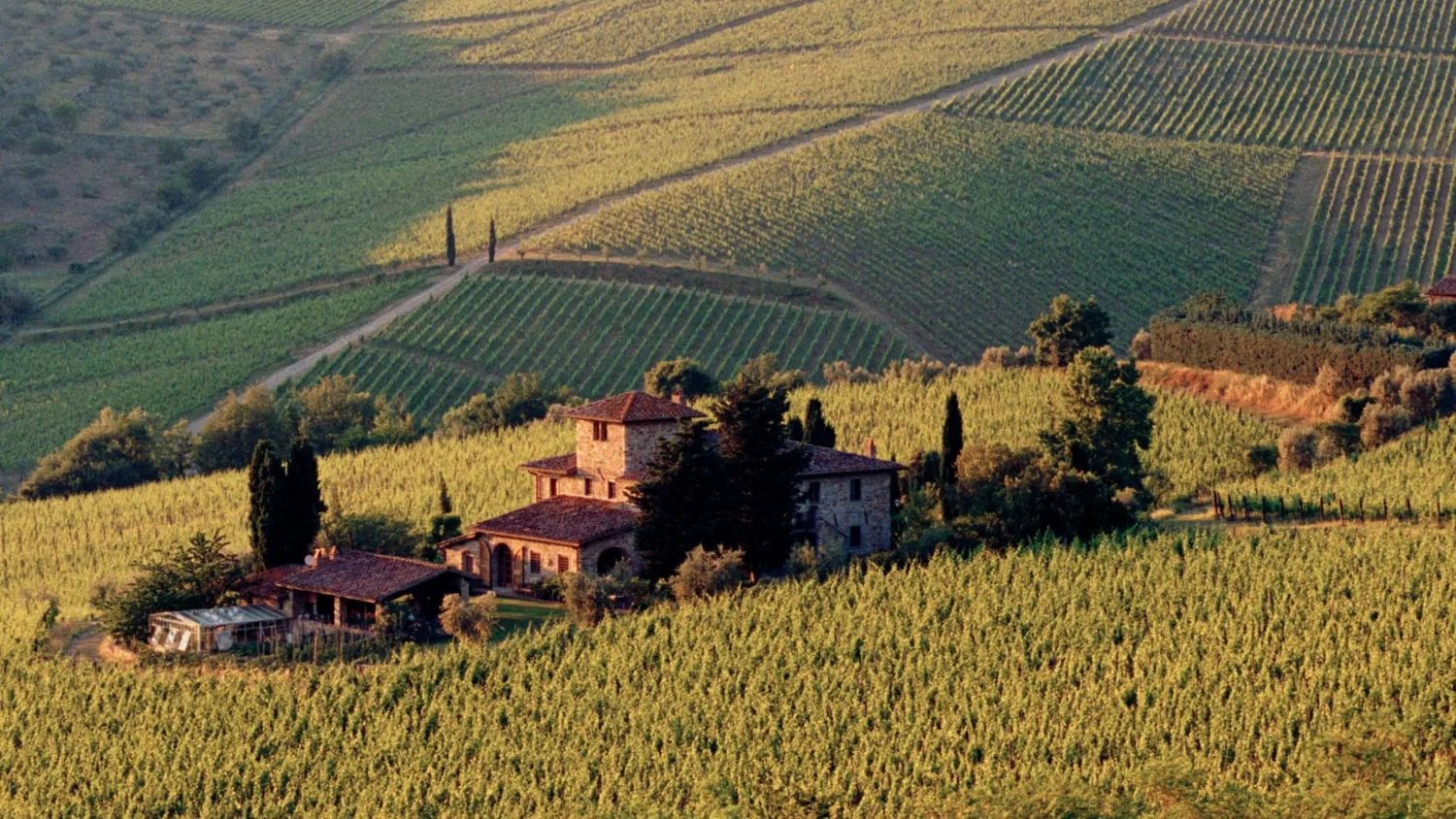 Countryside in Chianti region &copy; Gary Yeowell