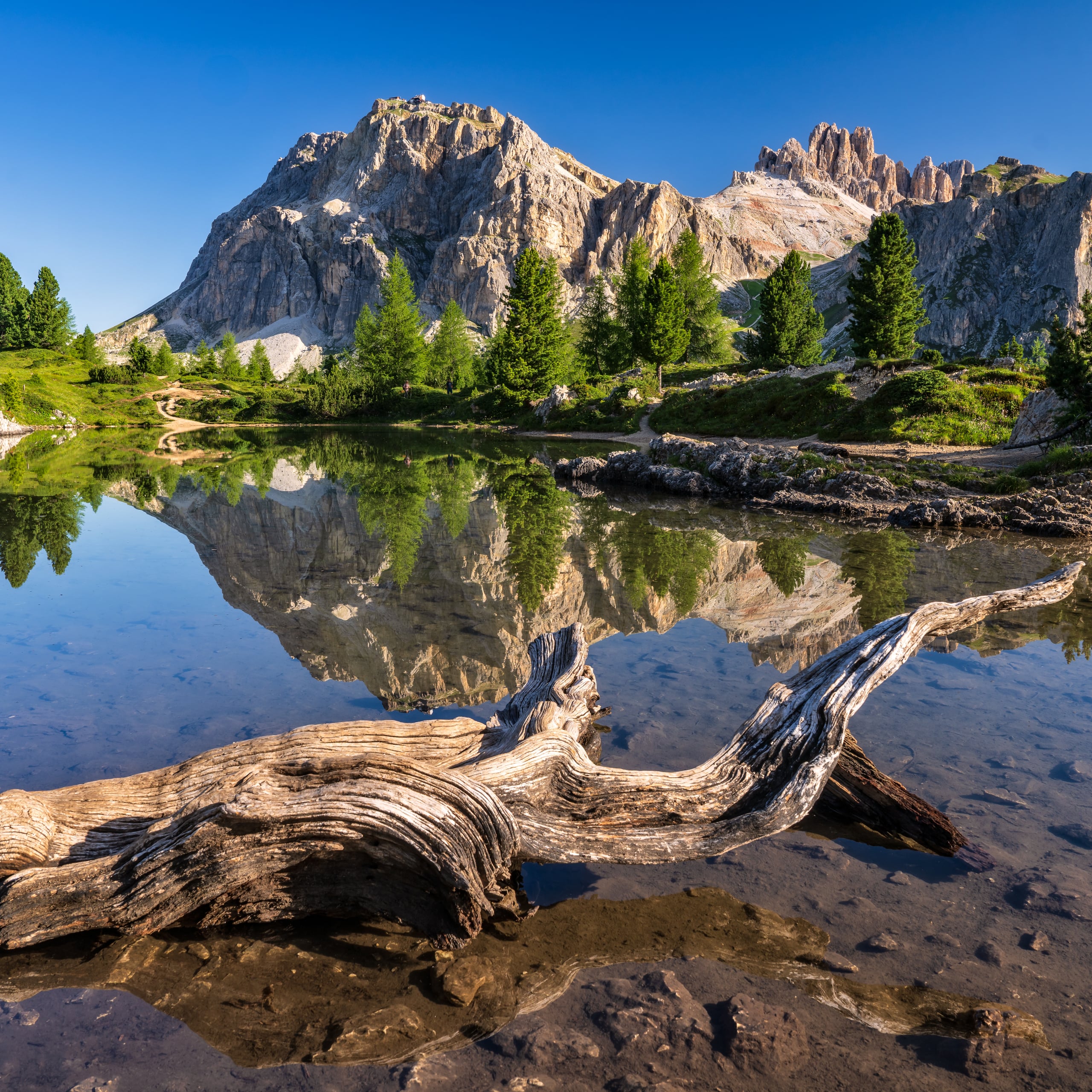 Image of Inside Cortina d’Ampezzo: a local’s guide to Italian alpine life